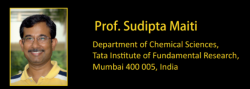 Prof Sudipta Maiti