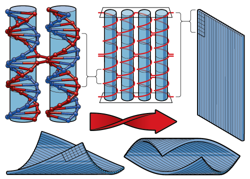 Image - Unfolding New Potentials for Nanotechnology With DNA Origami