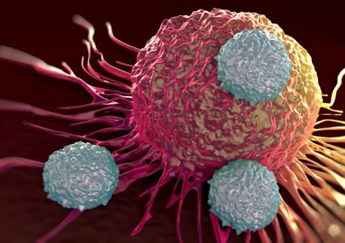 Image - Cancer-killing T cells ‘swarm’ to tumours, attracting others to the fight