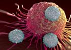 Image - Cancer-killing T cells ‘swarm’ to tumours, attracting others to the fight